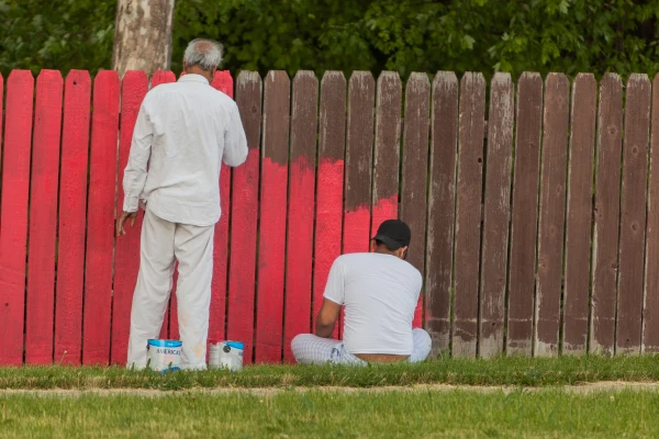 Fence Painting